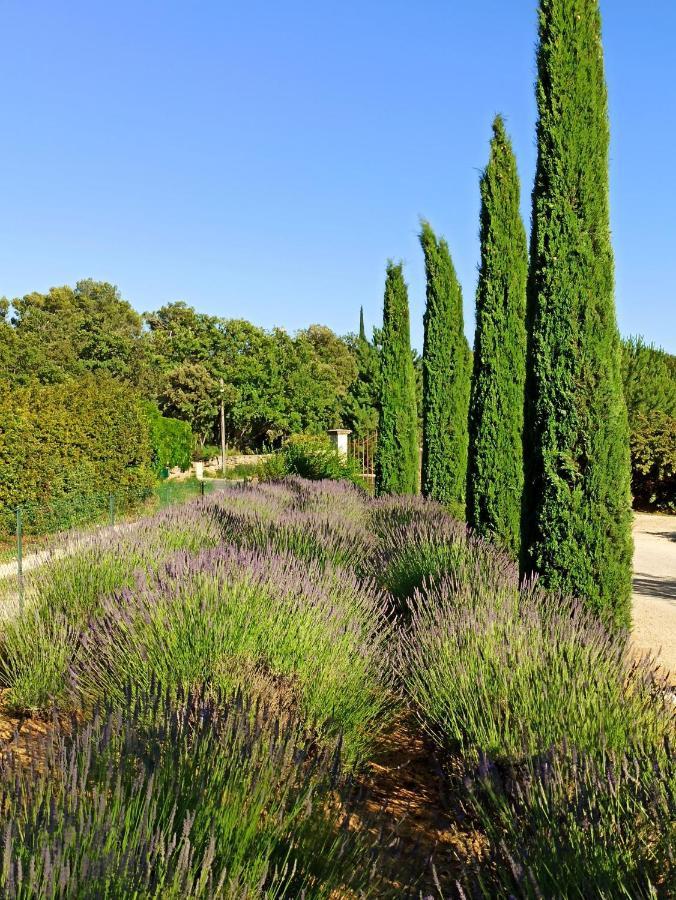 La Bastide De Cocagne Bed & Breakfast Rognes Dış mekan fotoğraf